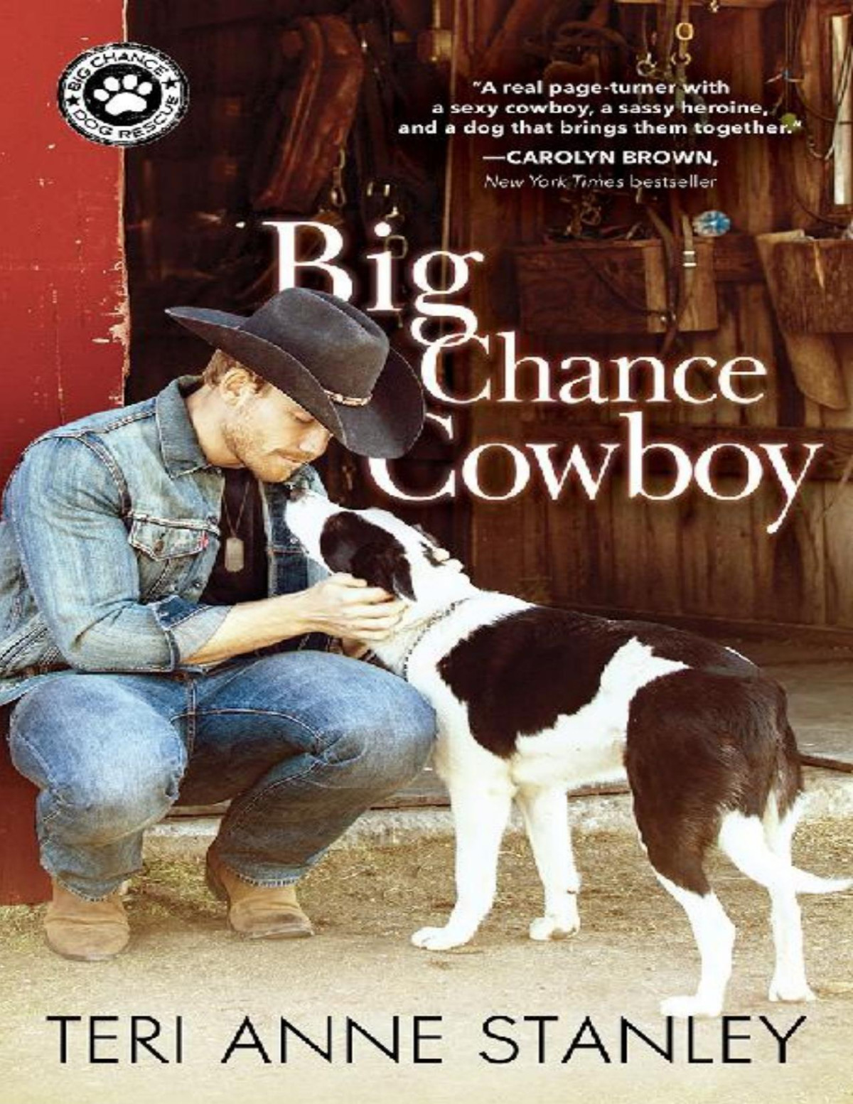 Big Chance Cowboy Teri Anne Stanley