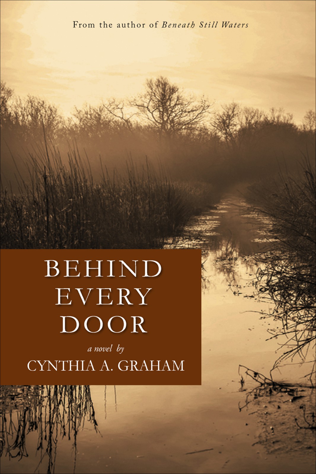 Behind Every Door Cynthia A Graham