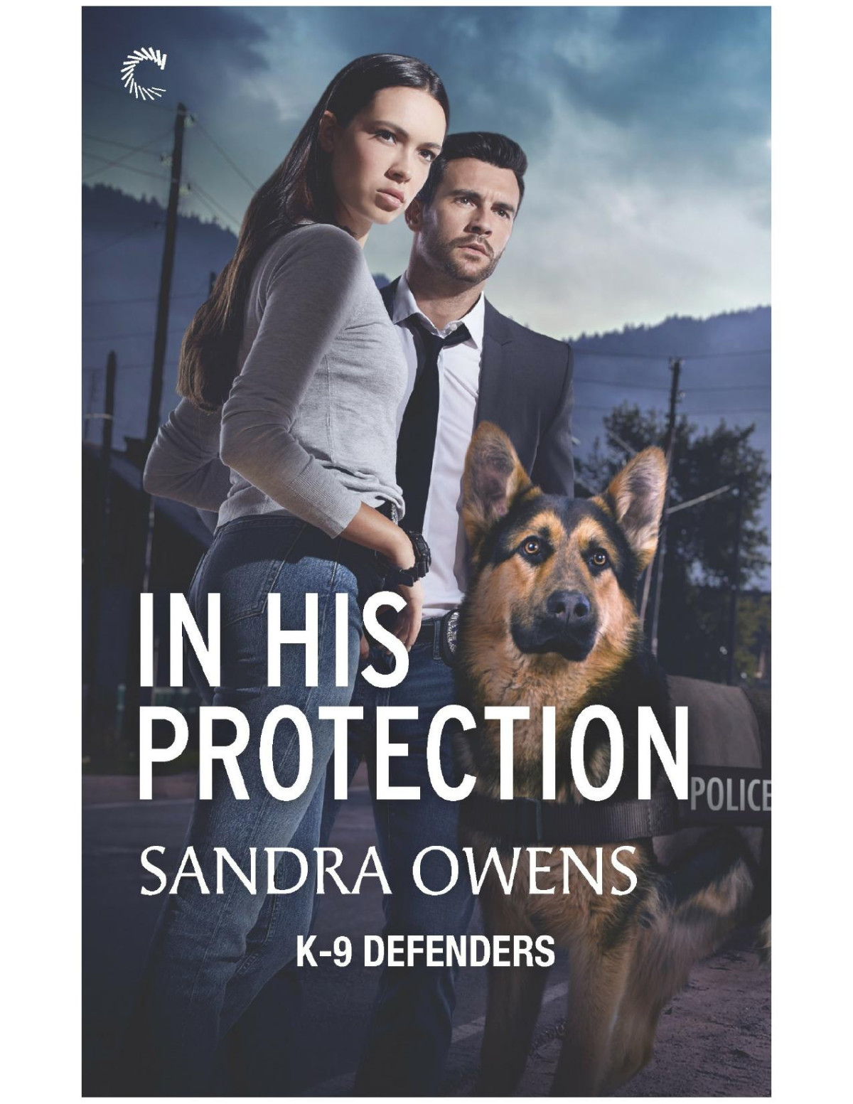 In His Protection Sandra Owens