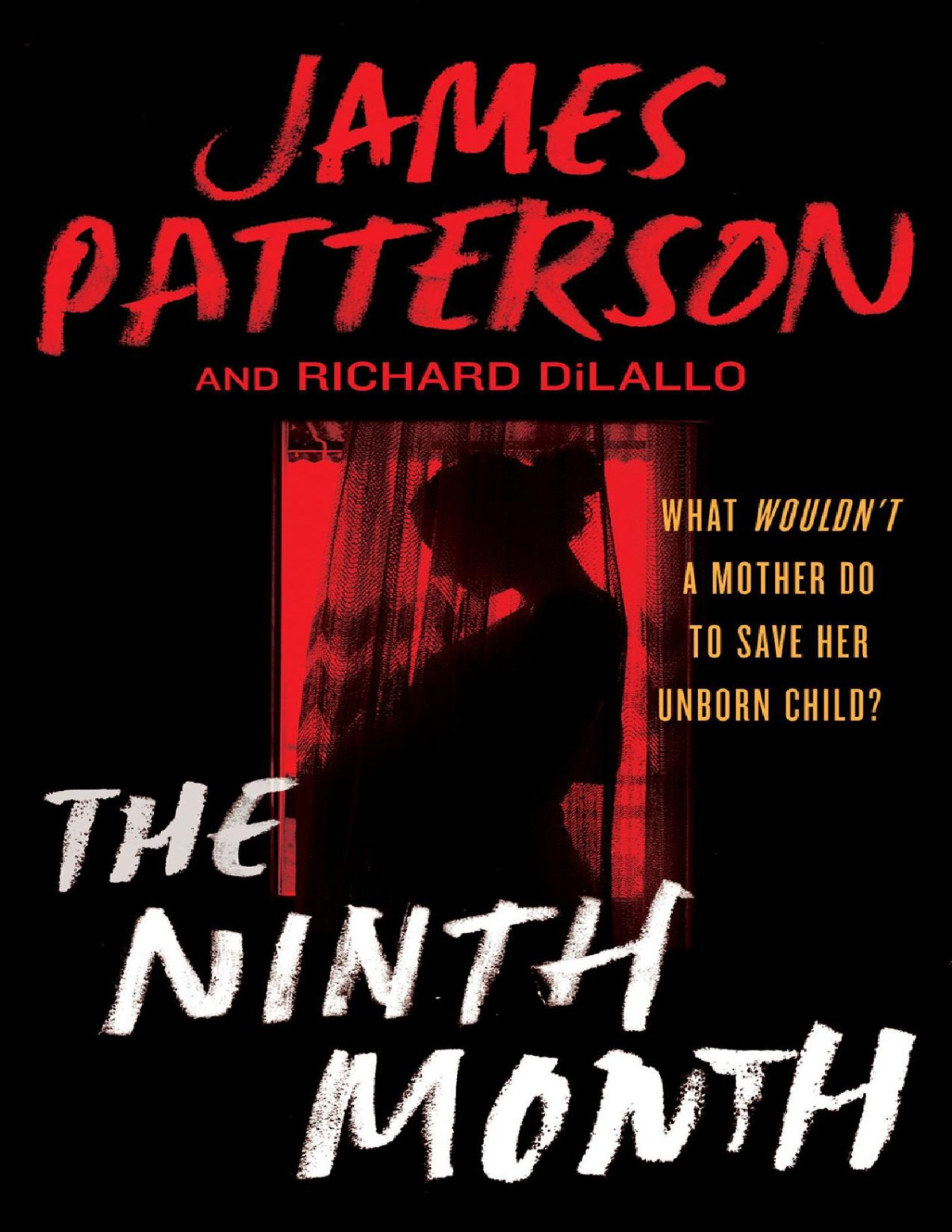 The Ninth Month James Patterson