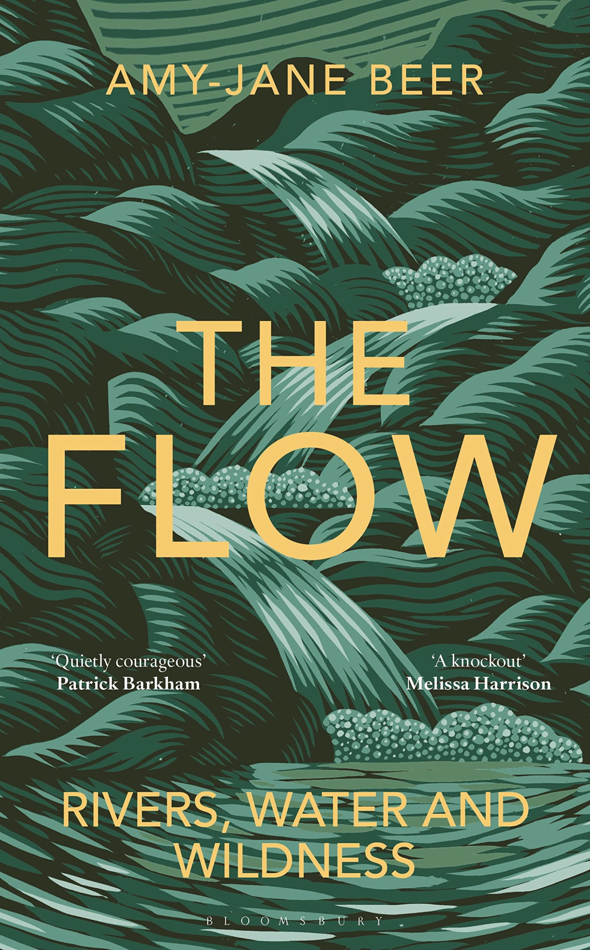 The Flow Rivers Water And Wildness Amyjane Beer