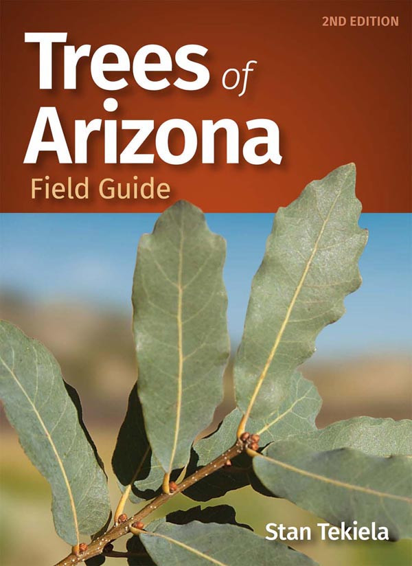 Trees Of Arizona Field Guide Stan Tekiela