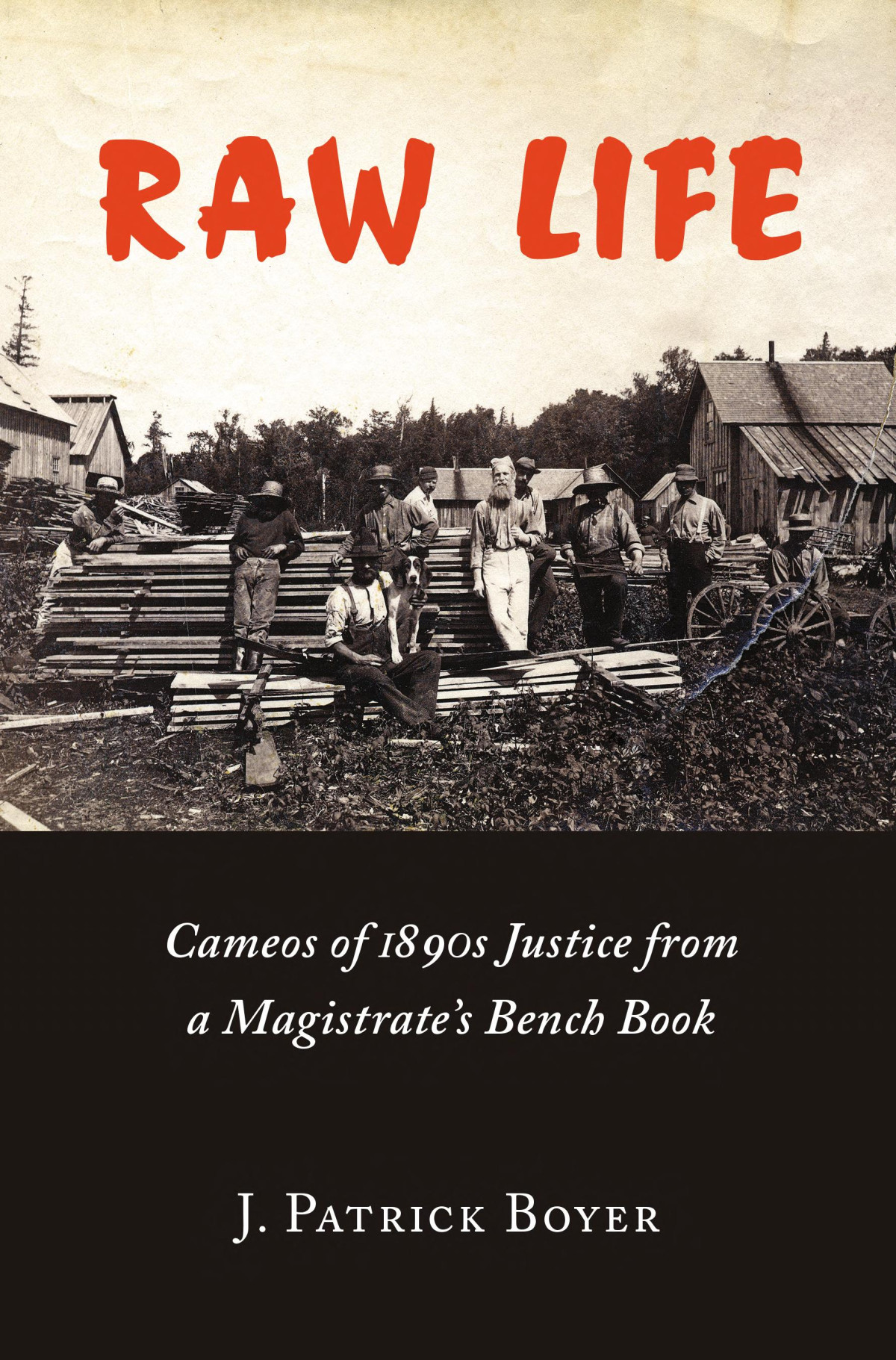 Raw Life Cameos Of 1890s Justice From A Magistrates Bench Book J Patrick Boyer