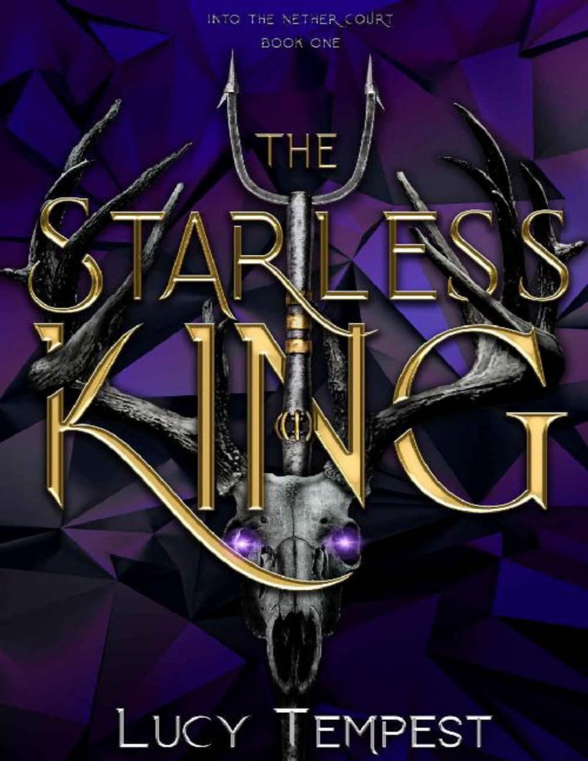 The Starless King Into The Nether Court Book 1 Lucy Tempest