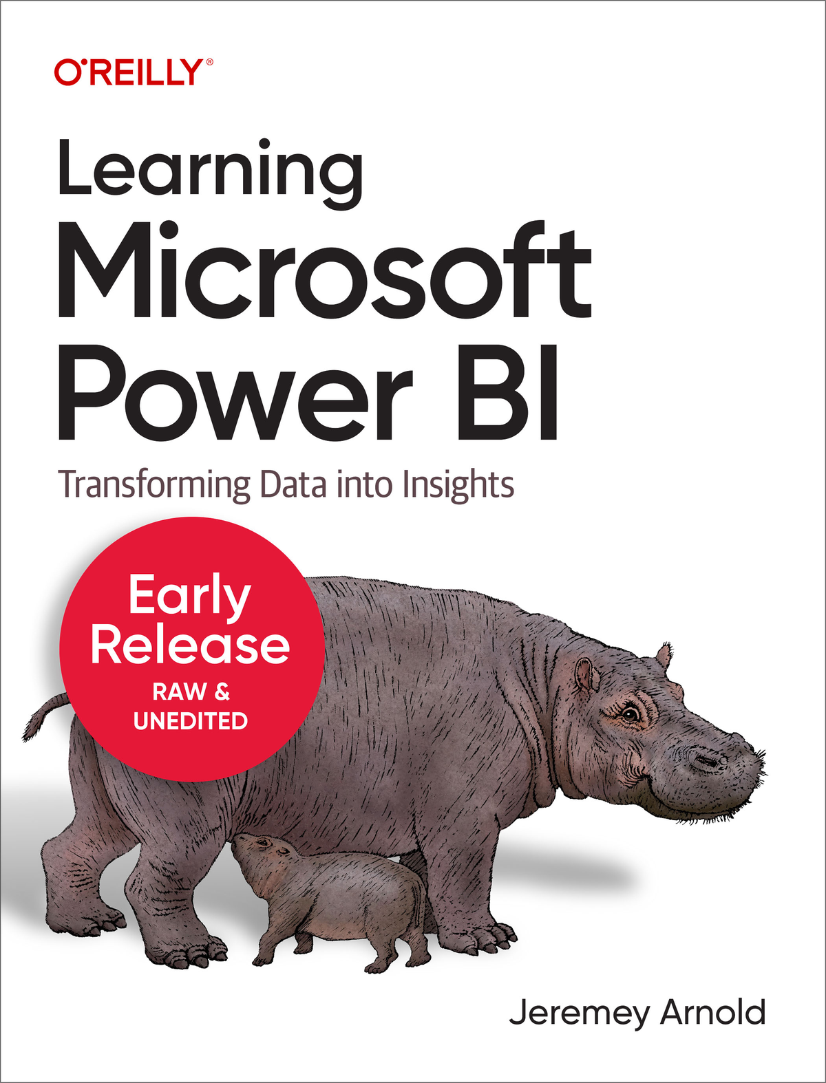Learning Microsoft Power Bi Fifth Early Release Jeremey Arnold