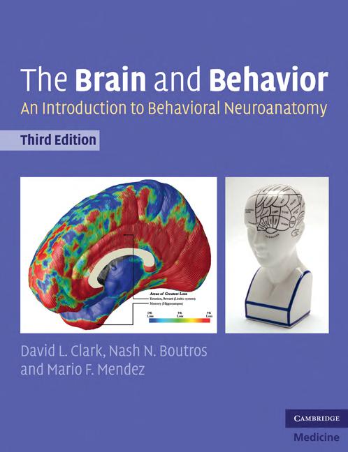 The Brain And Behavior An Introduction To Behavioral Neuroanatomy 3rd Edition David L Clark Nash N Boutros Mario F Mendez
