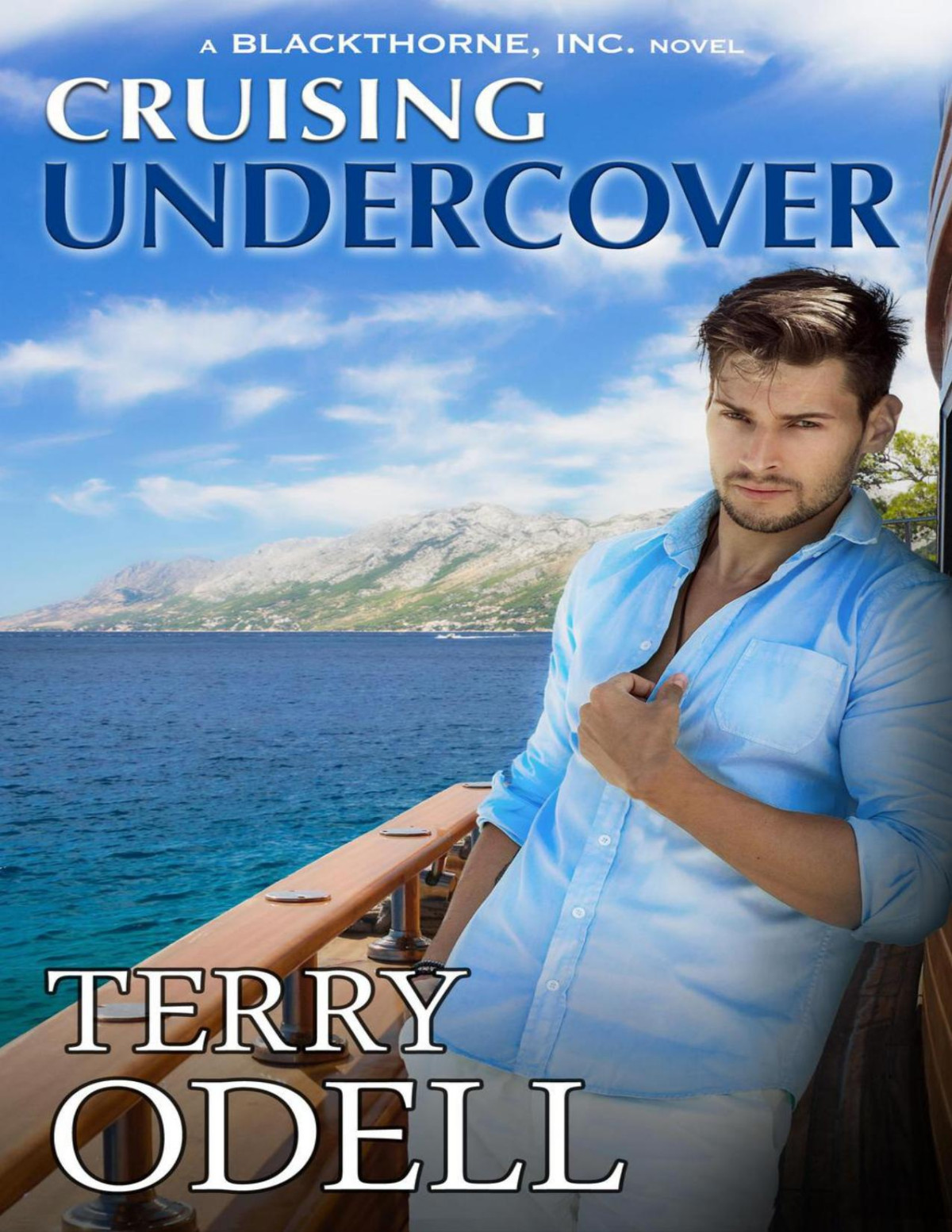 Cruising Undercover Blackthorne Inc 11 Terry Odell
