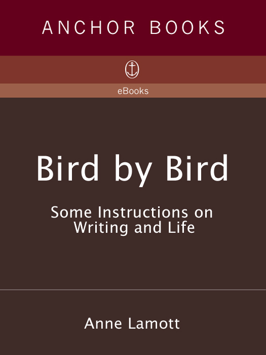 Bird By Bird Some Instructions On Writing And Life Anne Lamott