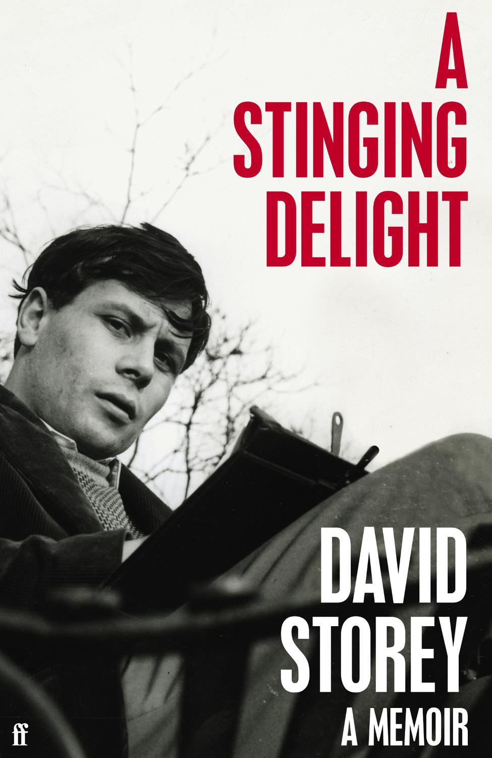 A Stinging Delight David Storey