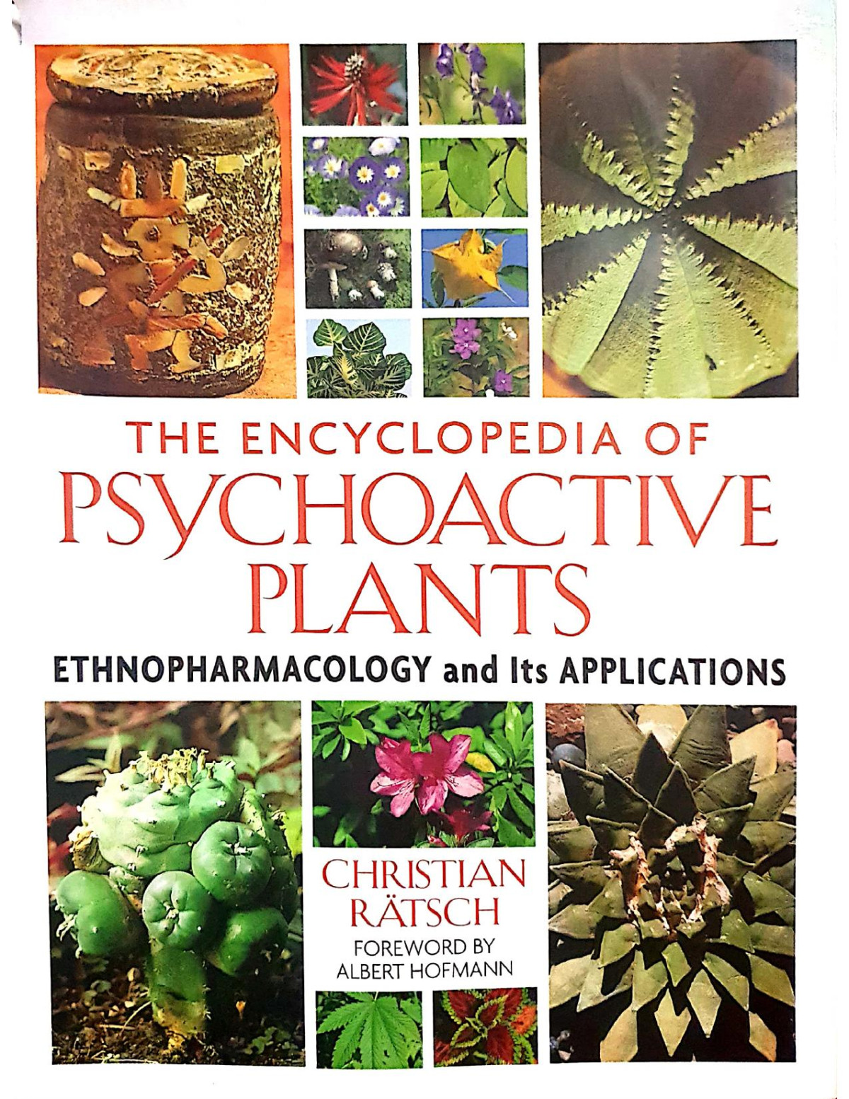 The Encyclopedia Of Psychoactive Plants Ethnopharmacology And Its Applications 1st Christian Ratsch