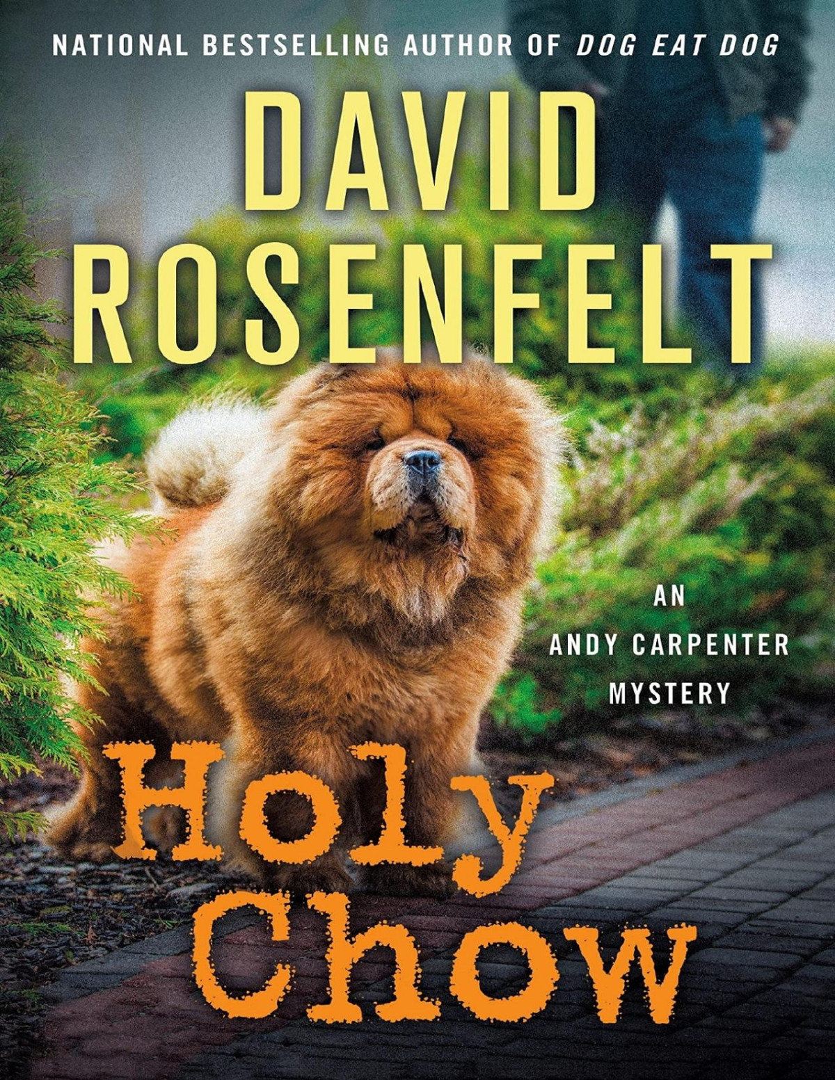 Holy Chow An Andy Carpenter Mystery David Rosenfelt