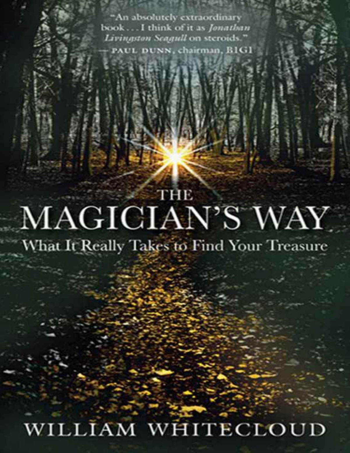 The Magicians Way What It Really Takes To Find Your Treasure William Whitecloud