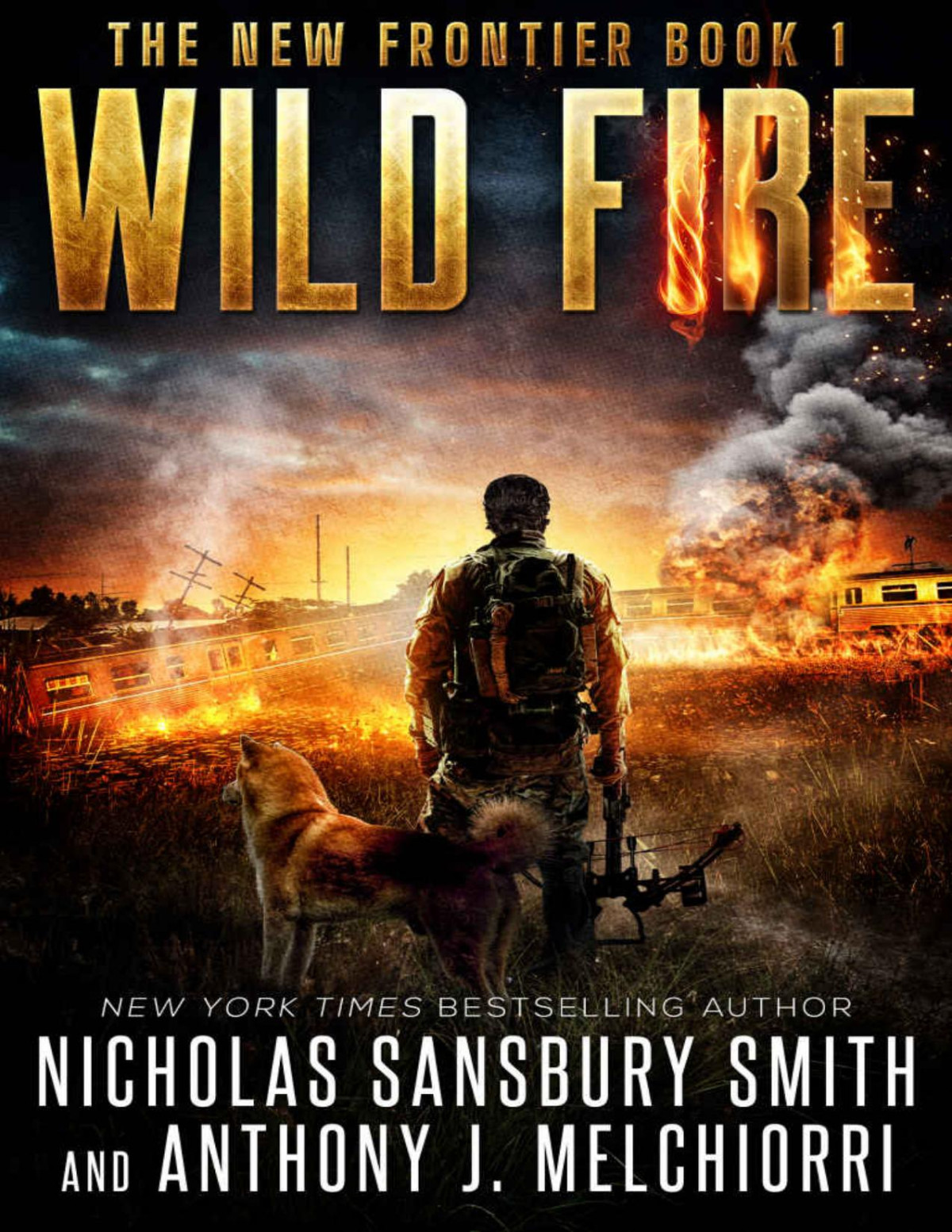 Wild Fire New Frontier Book 1 Nicholas Sansbury Smith Anthony J Melchiorri