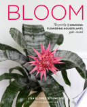 Bloom The Secrets Of Growing Flowering Houseplants Yearround Lisa Eldred Steinkopf