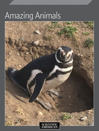 Amazing Animals Scientific American Editors