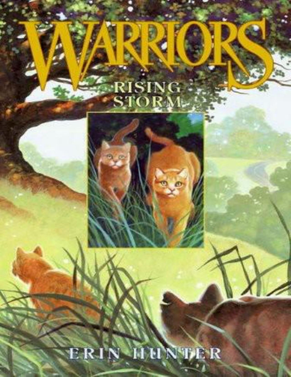 Rising Storm Erin Hunter