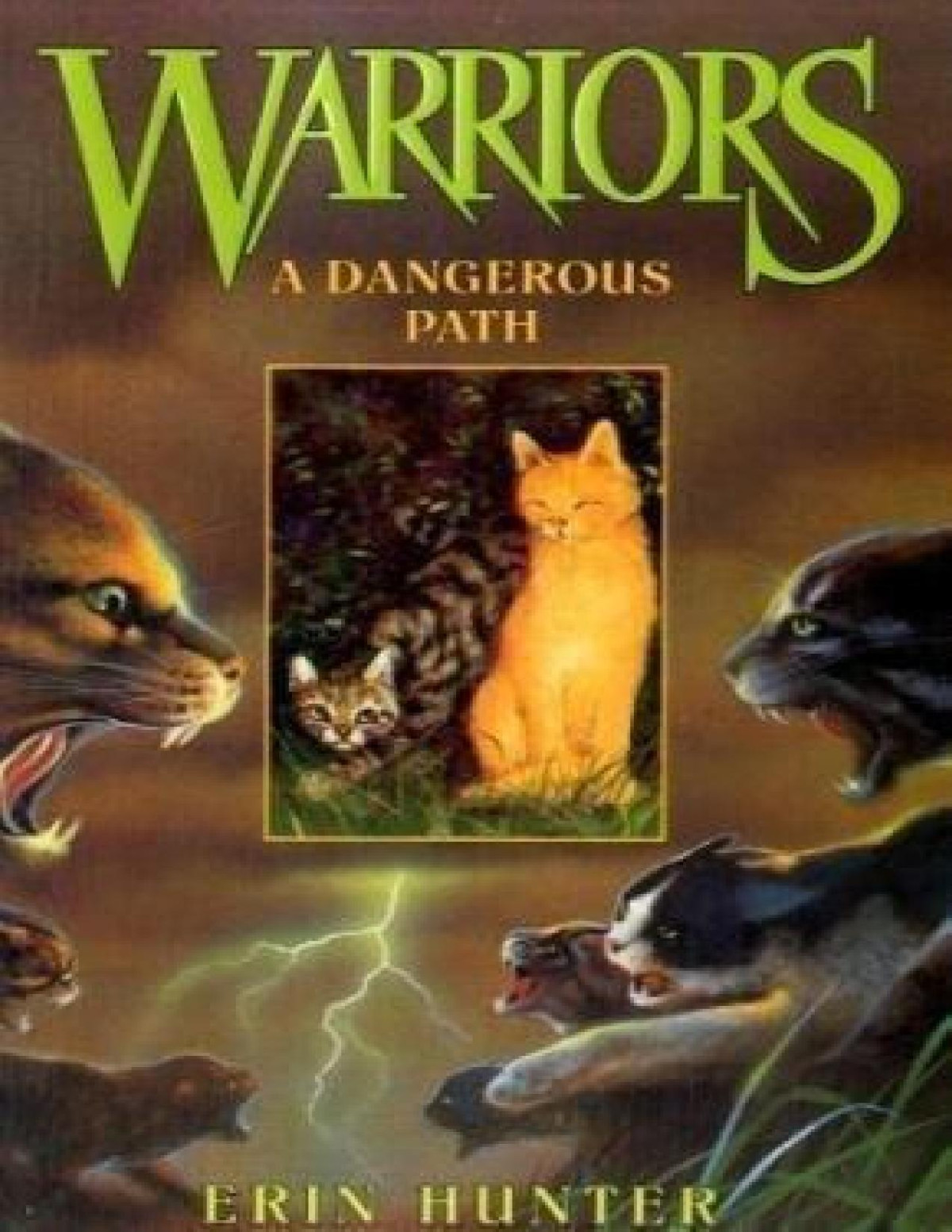 A Dangerous Path Erin Hunter