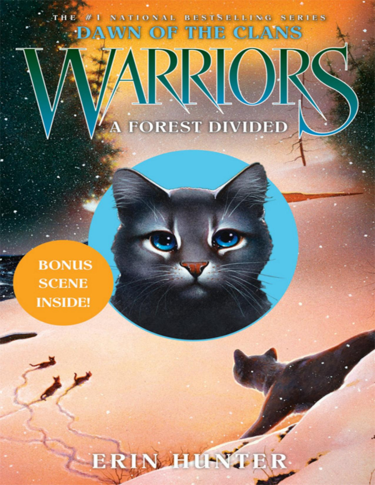 A Forest Divided Erin Hunter