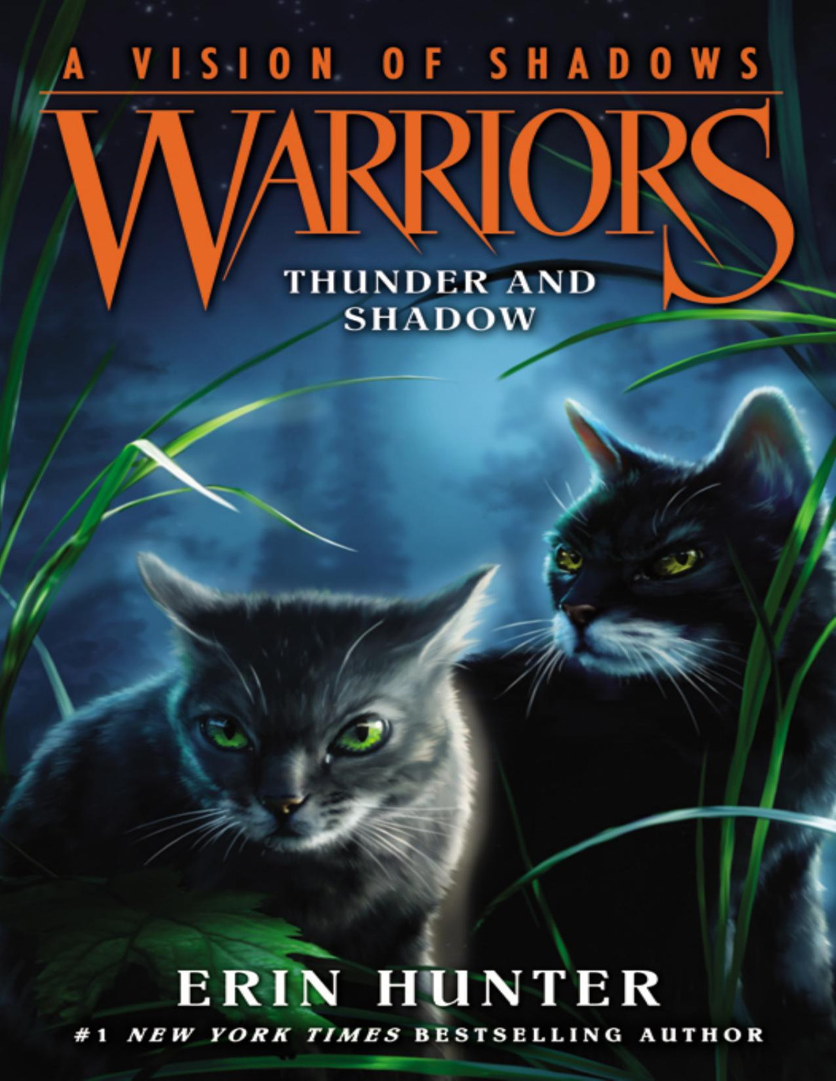 Thunder And Shadow Erin Hunter