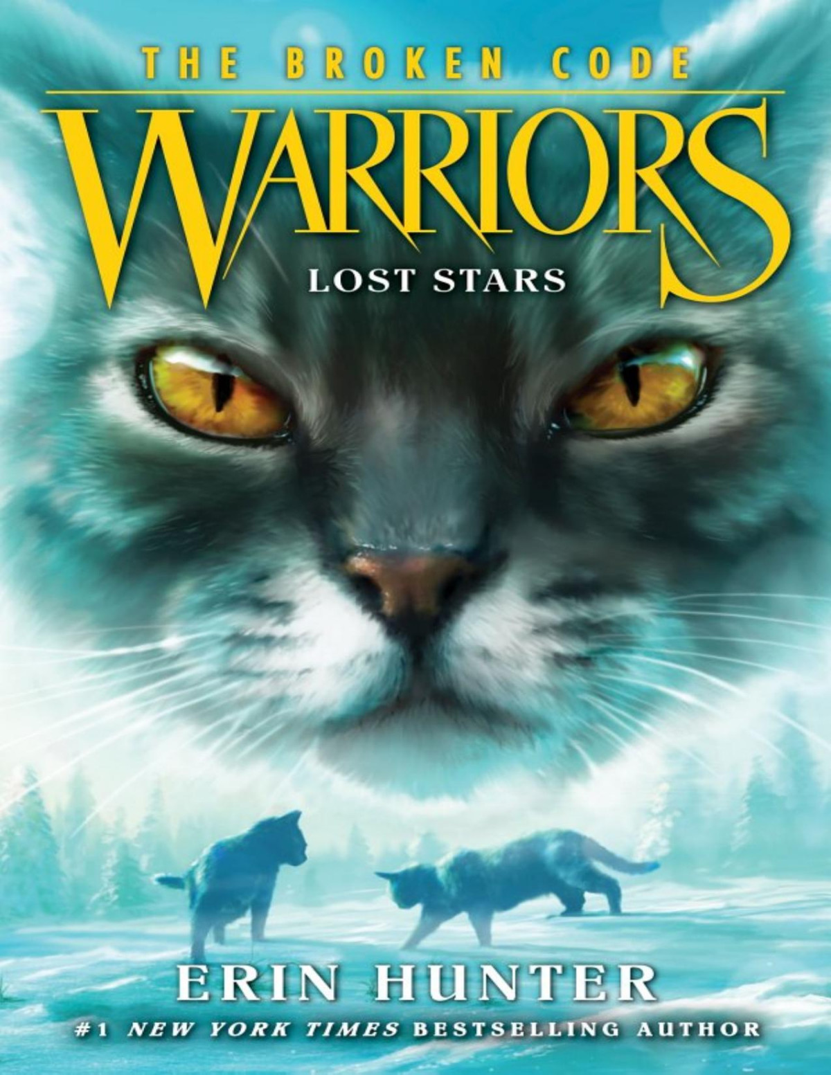 Warriors The Broken Code 1 Lost Stars Erin Hunter