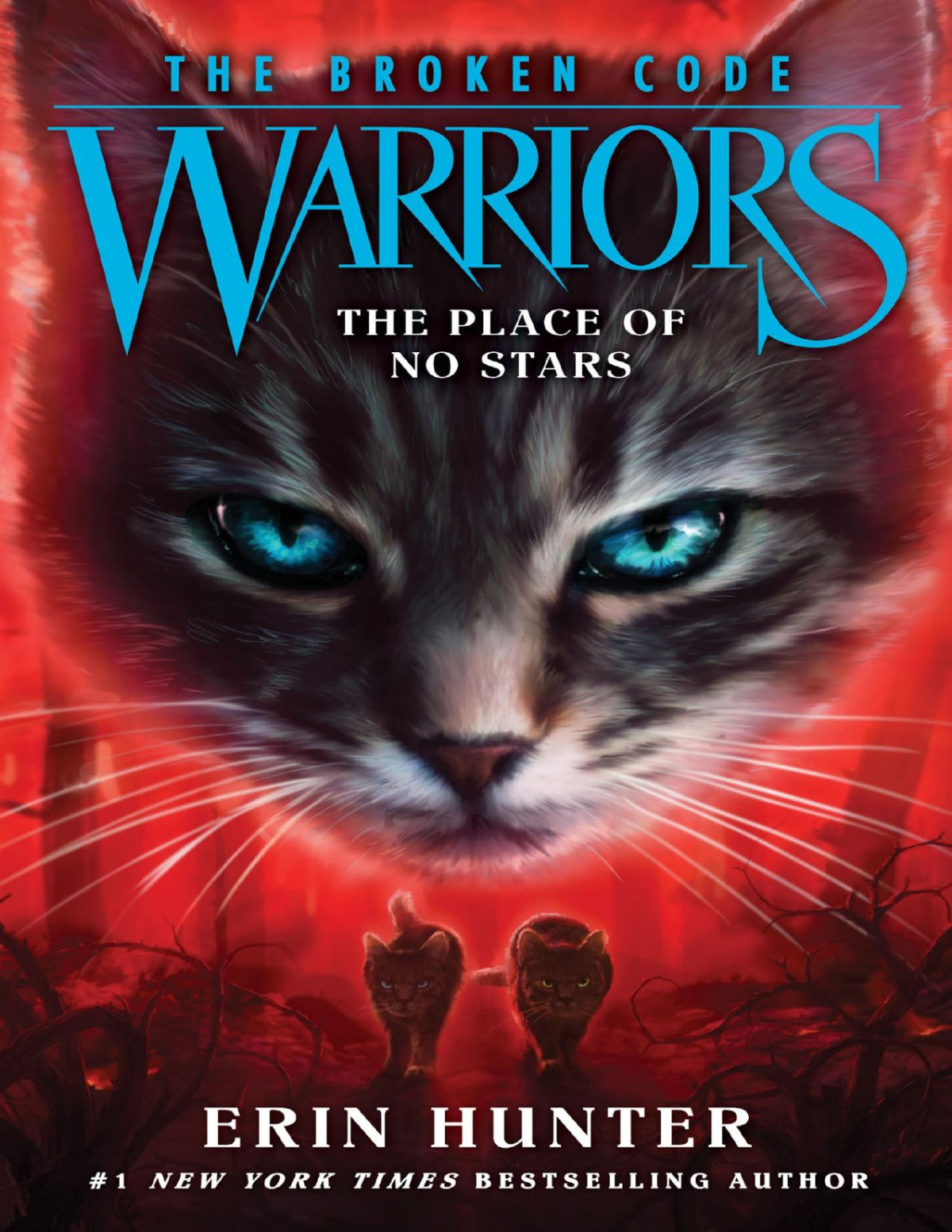 The Place Of No Stars Erin Hunter
