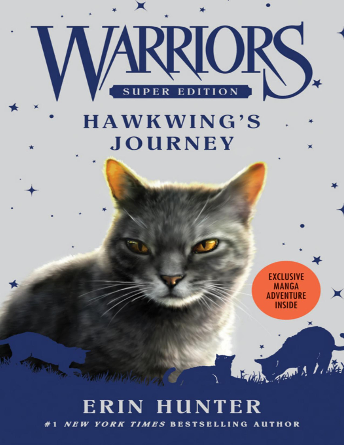 Hawkwings Journey Erin Hunter