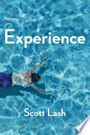 Experience New Foundations For The Human Sciences 1st Edition Scott Lash