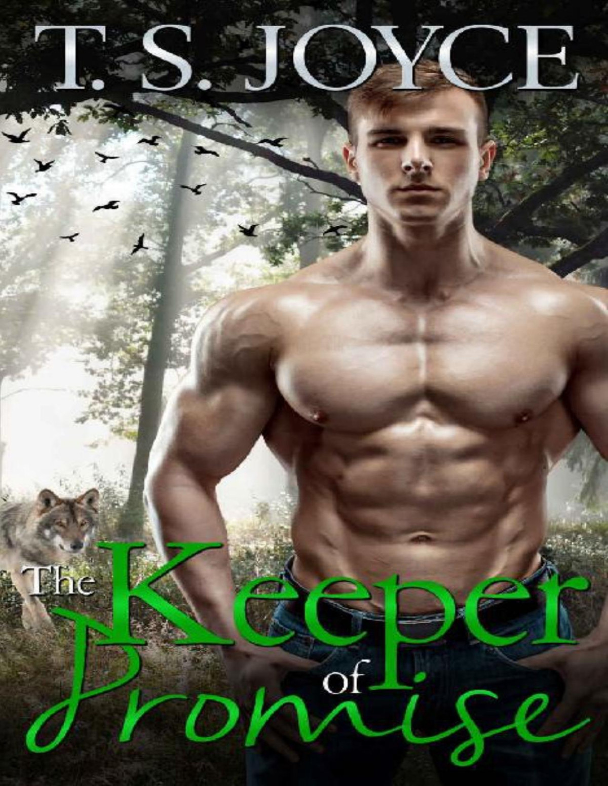 The Keeper Of Promise T S Joyce