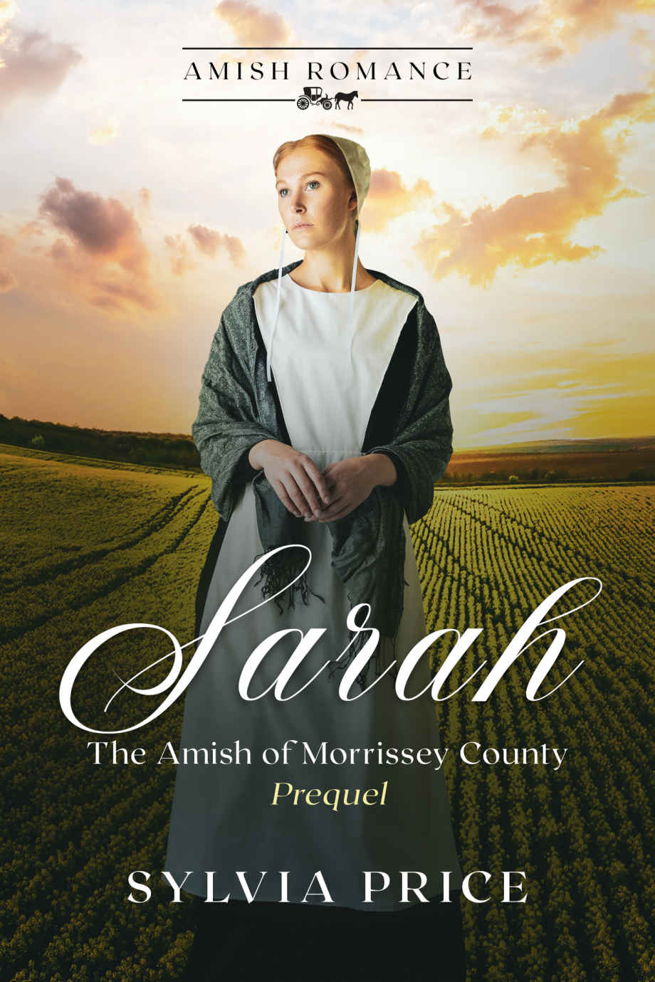 Sarah The Amish Of Morrissey County Prequel An Amish Romance Sylvia Price