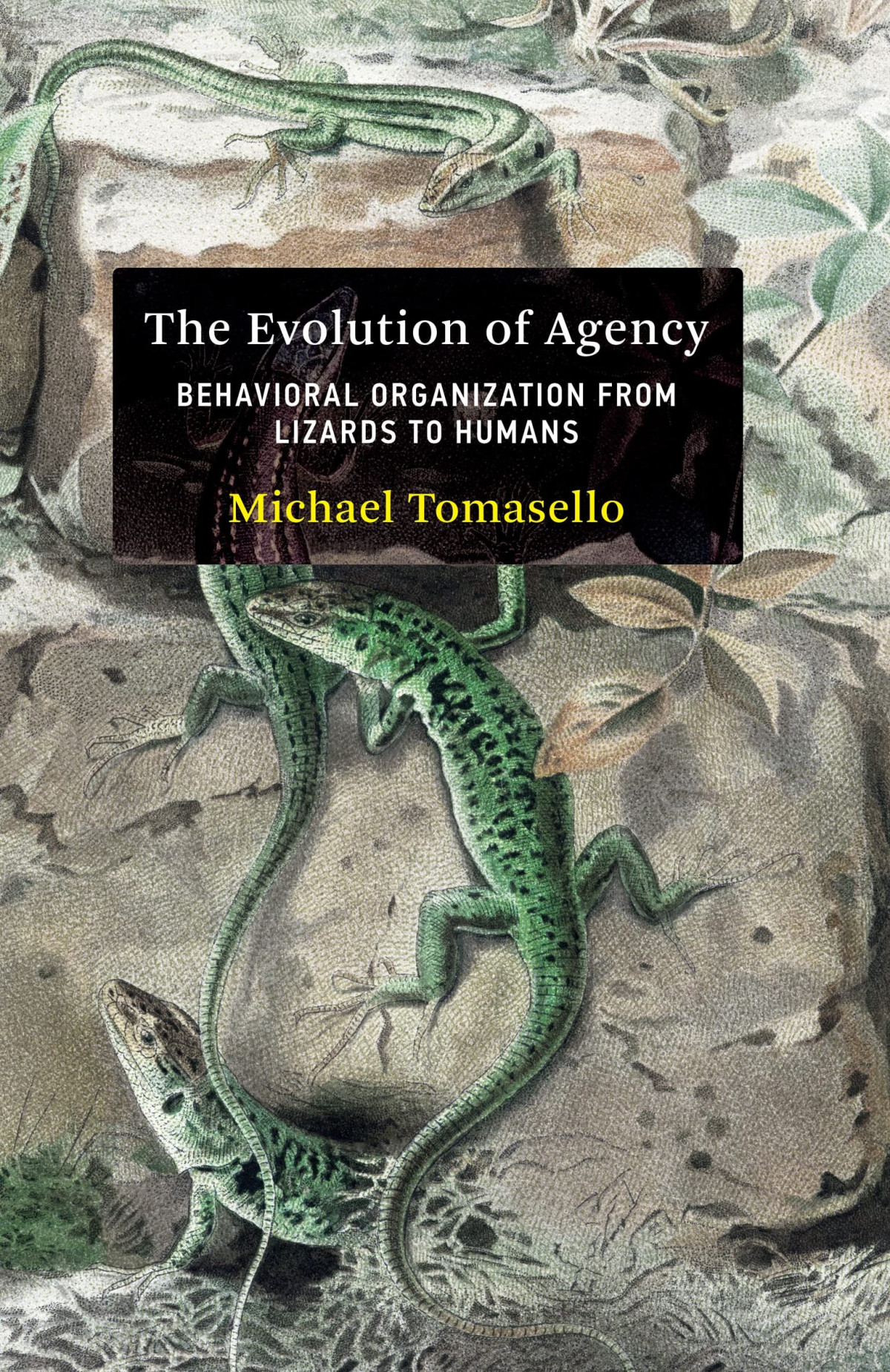 The Evolution Of Agency Behavioral Organization From Lizards To Humans Michael Tomasello