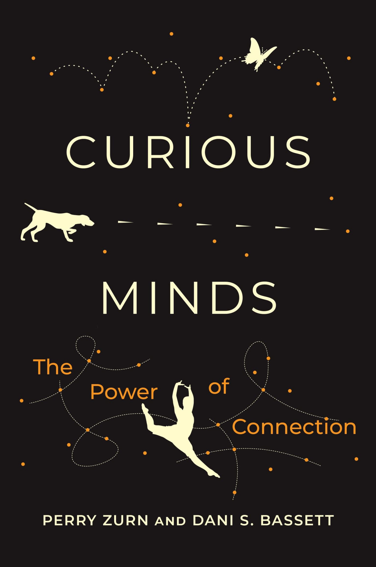 Curious Minds The Power Of Connection Perry Zurn Dani S Bassett