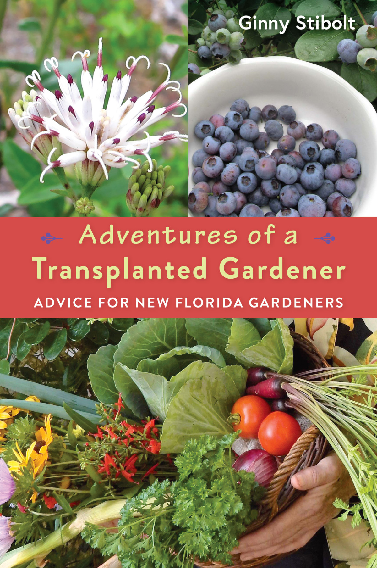 Adventures Of A Transplanted Gardener Ginny Stibolt