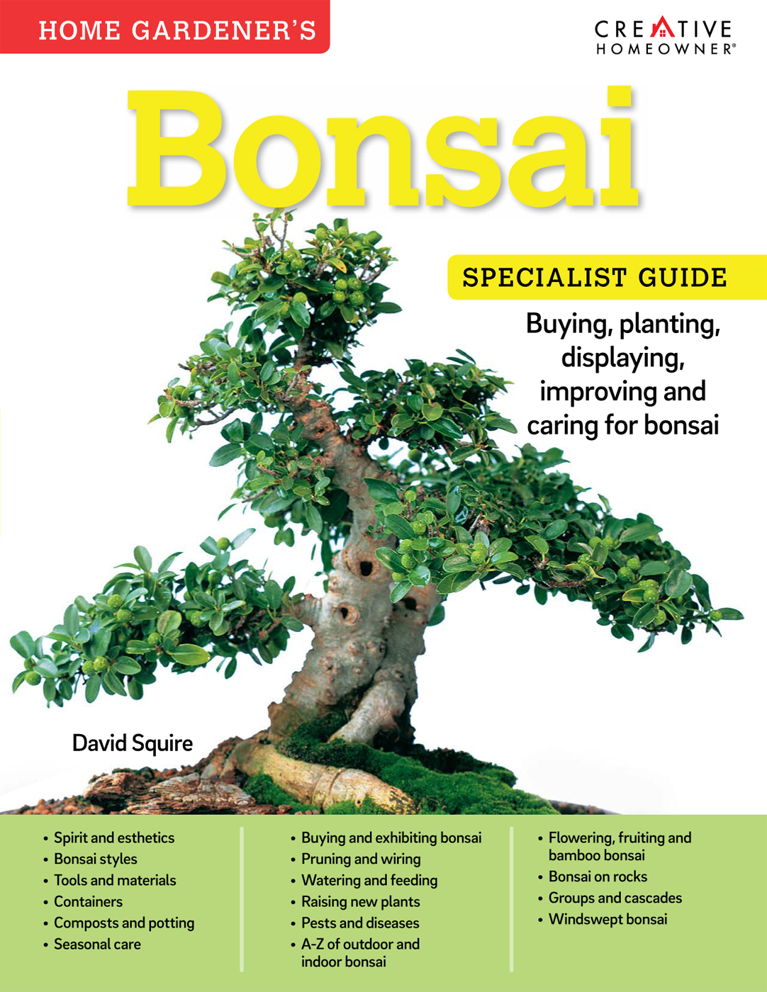 Bonsai David Squire