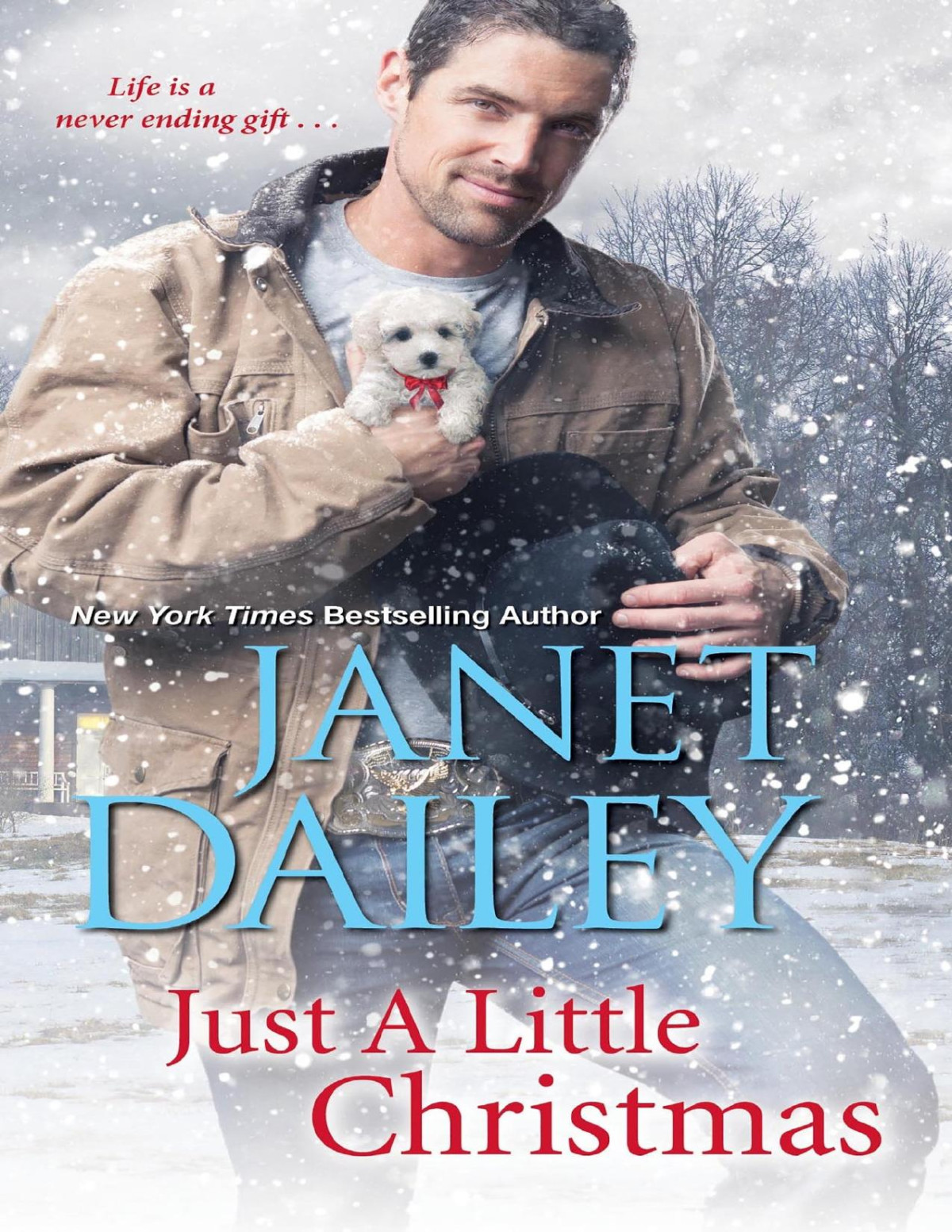 Just A Little Christmas Janet Dailey