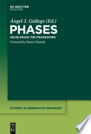 Phases Developing The Framework Ngel J Gallego
