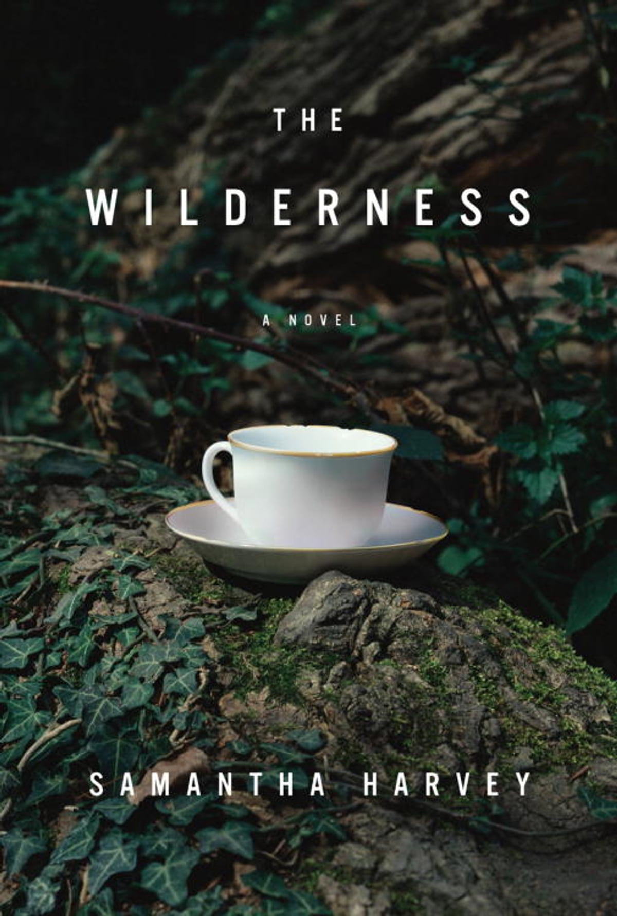 The Wilderness Samantha Harvey