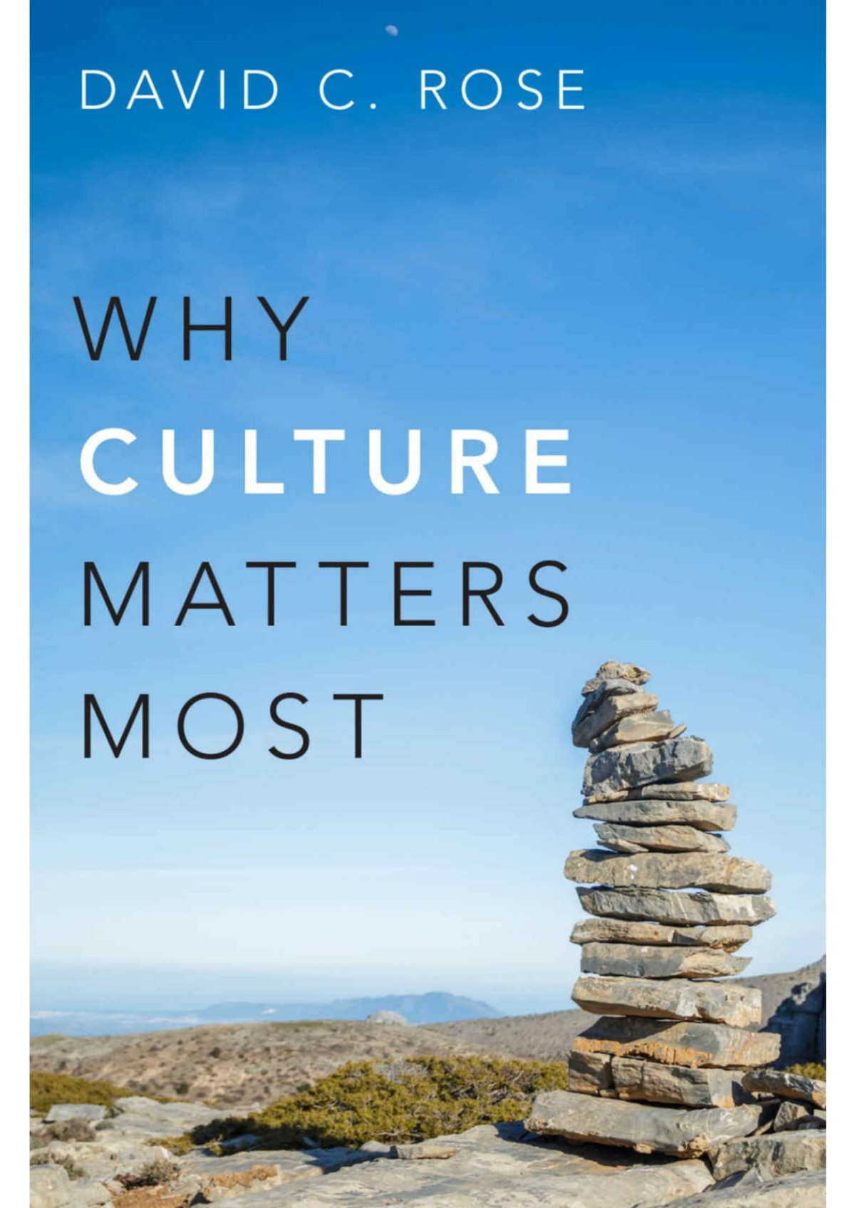 Why Culture Matters Most David C Rose