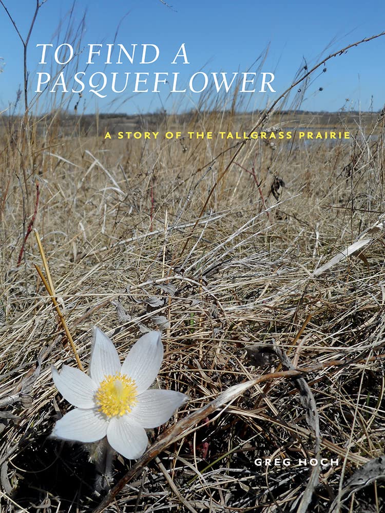 To Find A Pasqueflower A Story Of The Tallgrass Prairie Greg Hoch