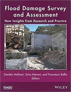 Flood Damage Survey And Assessment New Insights From Research And Practice Daniela Molinari