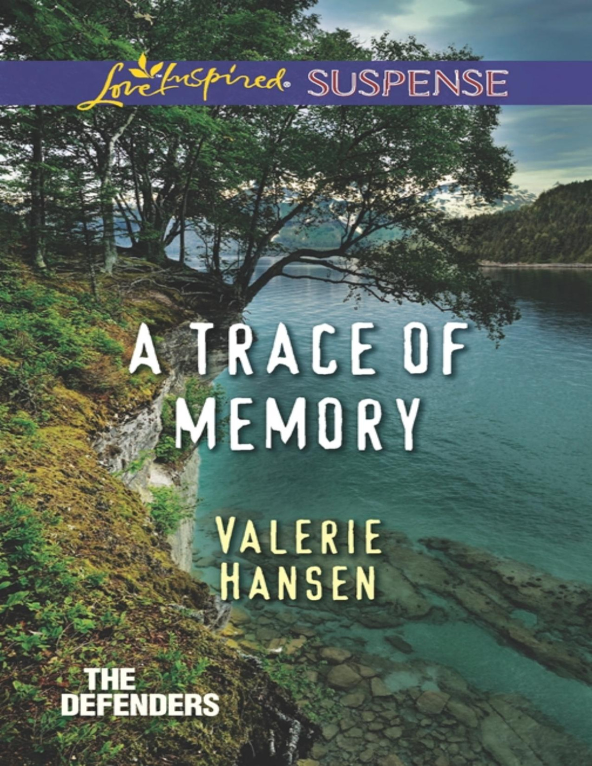 A Trace Of Memory Valerie Hansen