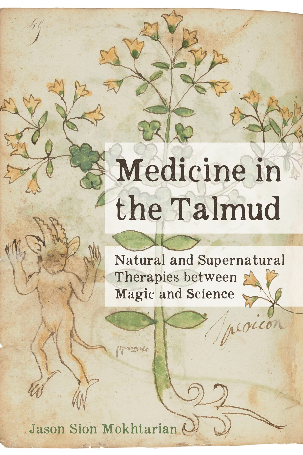 Medicine In The Talmud Natural And Supernatural Therapies Between Magic And Science 1st Edition Jason Sion Mokhtarian