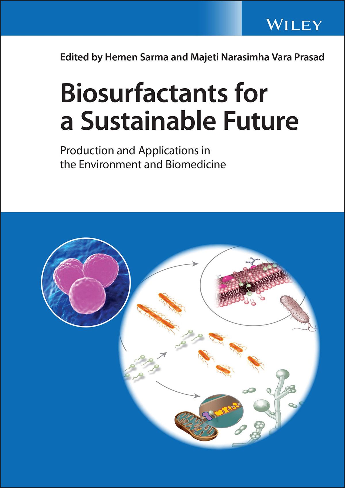 Biosurfactants For A Sustainable Future Production And Applications In The Environment And Biomedicine Hemen Sarma