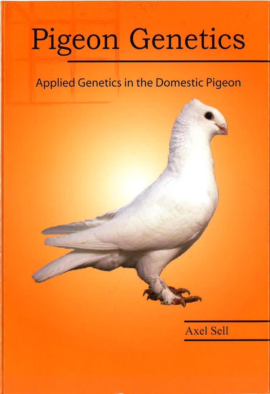 Pigeon Genetics Applied Genetics In The Domestic Pigeon Axel Sell