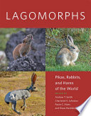 Lagomorphs Pikas Rabbits And Hares Of The World Andrew T Smith