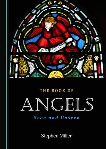 The Book Of Angels Seen And Unseen Stephen Miller