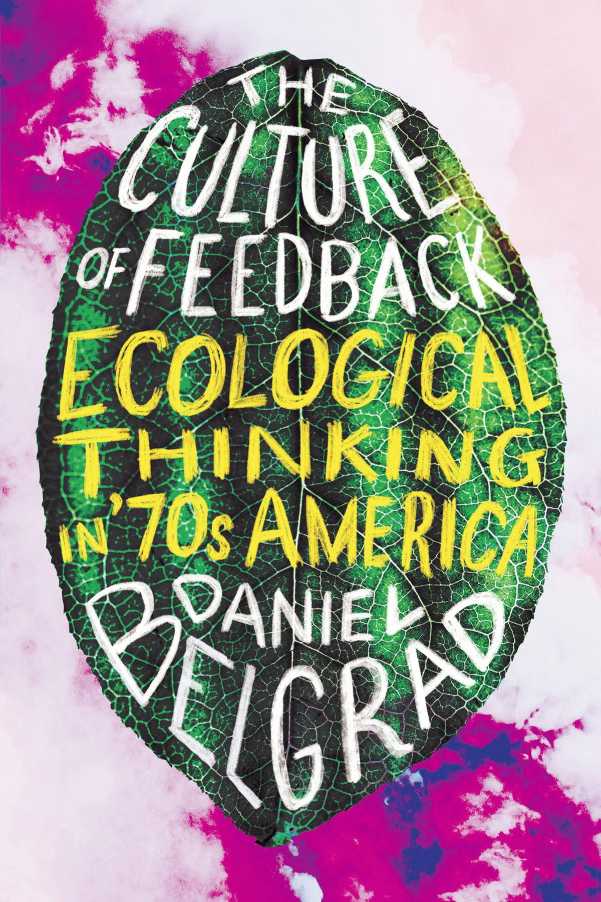 The Culture Of Feedback Daniel Belgrad