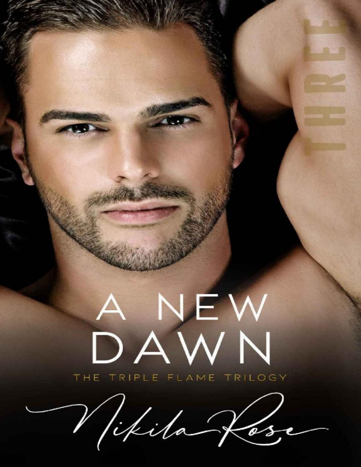 A New Dawn Book 3 The Triple Flame Trilogy The Escape Series 4 Nikila Rose