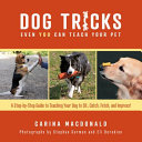 Dog Tricks Even You Can Teach Your Pet A Stepbystep Guide To Teaching Your Pet To Sit Catch Fetch And Impress Carina Macdonald