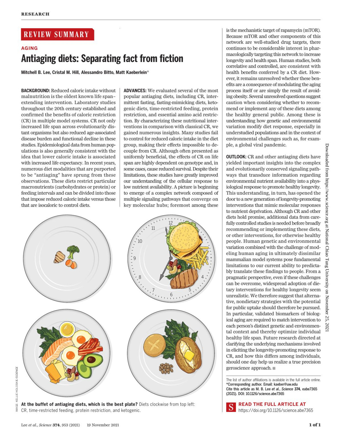 Antiaging Diets Separating Fact From Fiction Mitchell B Lee