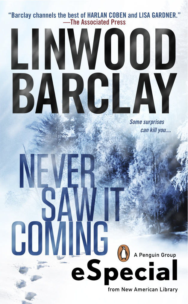 Never Saw It Coming Linwood Barclay